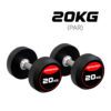 Par de Dumbbell Halter Emborrachado 20KG